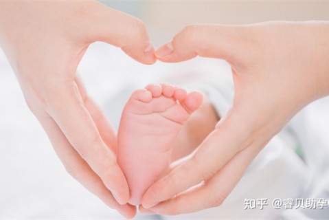 http://guangzhou.51dzb.net/post/188.html|广州新闻中心